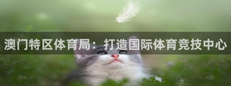 澳门特区体育局：打造国际体育竞技中心
