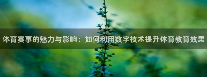 体育赛事的魅力与影响：如何利用数字技术提升体育教育效果
