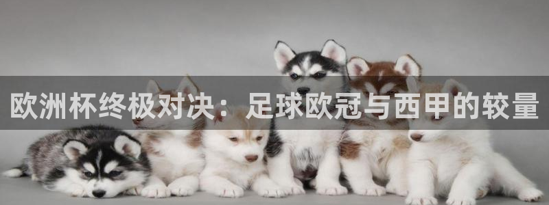 欧洲杯终极对决：足球欧冠与西甲的较量