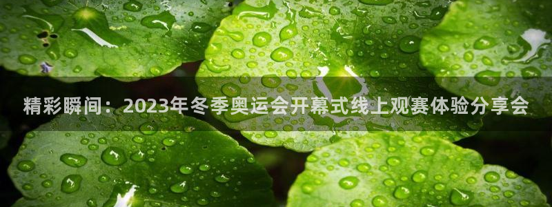 意昂4招商：精彩瞬间：2023年冬季奥运会开幕式线上观赛体验分享会