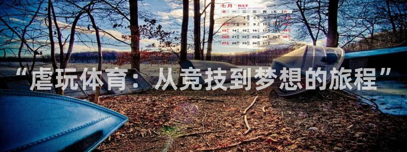 意昂4凯捷注册：“虐玩体育：从竞技到梦想的旅程”