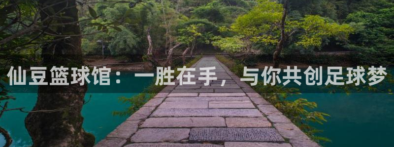 意昂4登录入口：仙豆篮球馆：一胜在手，与你共创足球梦